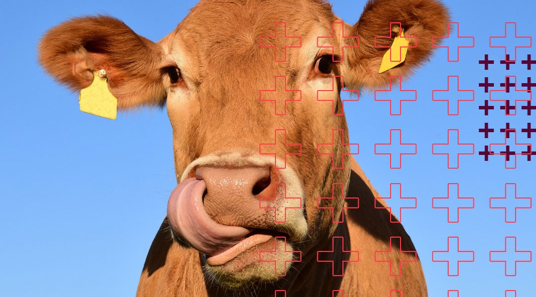 Não deixe a sua felicidade sobre a responsabilidade do tempo.