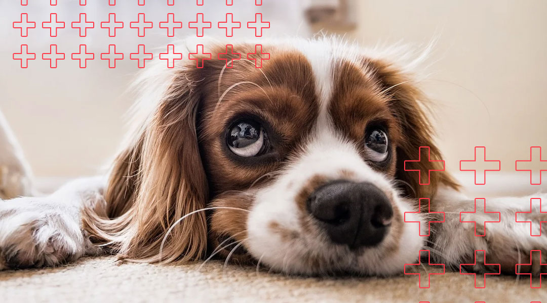 Como superar o medo de ser abandonado?